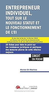 Entrepreneur individuel, tout sur le nouveau statut: 20 fiches pour faire le point sur les incidences juridiques et pratiques des mesures phares de ... indépendante et de ses décrets d