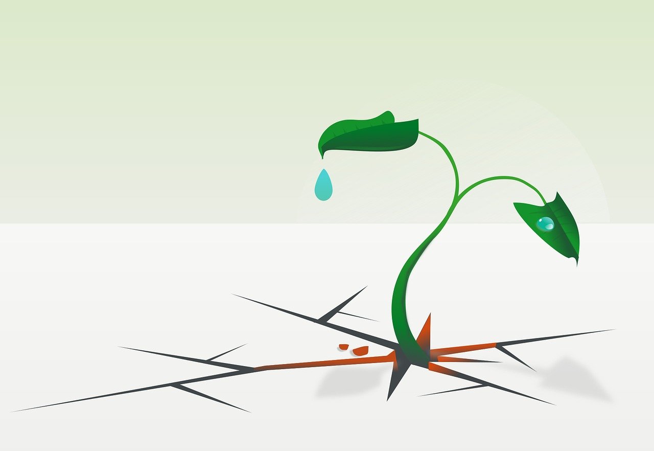 d&eacute;couvrez la r&eacute;silience, cette capacit&eacute; humaine &agrave; surmonter les &eacute;preuves et &agrave; rebondir face aux difficult&eacute;s pour construire un avenir plus fort.